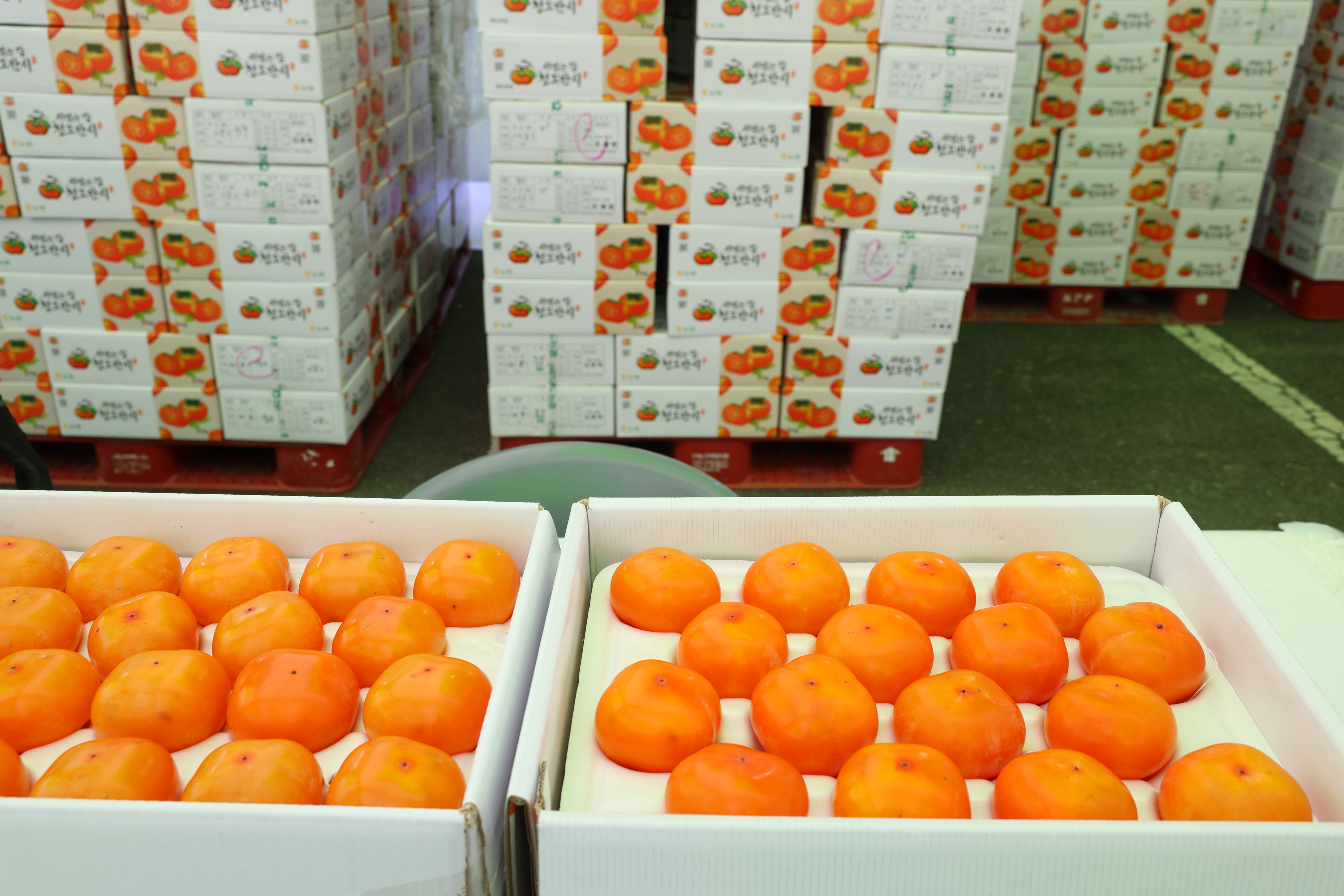 d14874df2811d910ec38c91d9f96d695_1771551