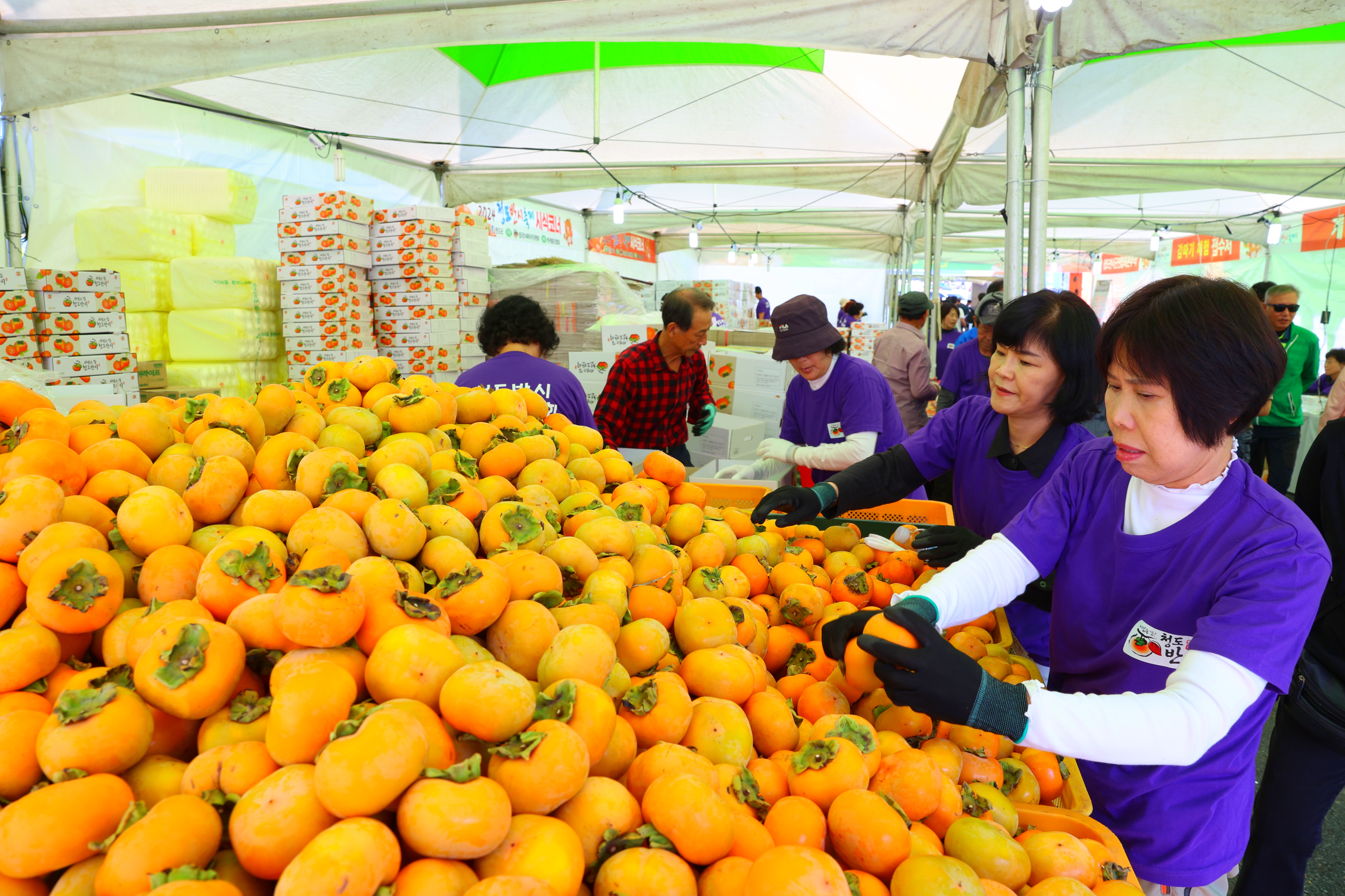 d14874df2811d910ec38c91d9f96d695_1771551