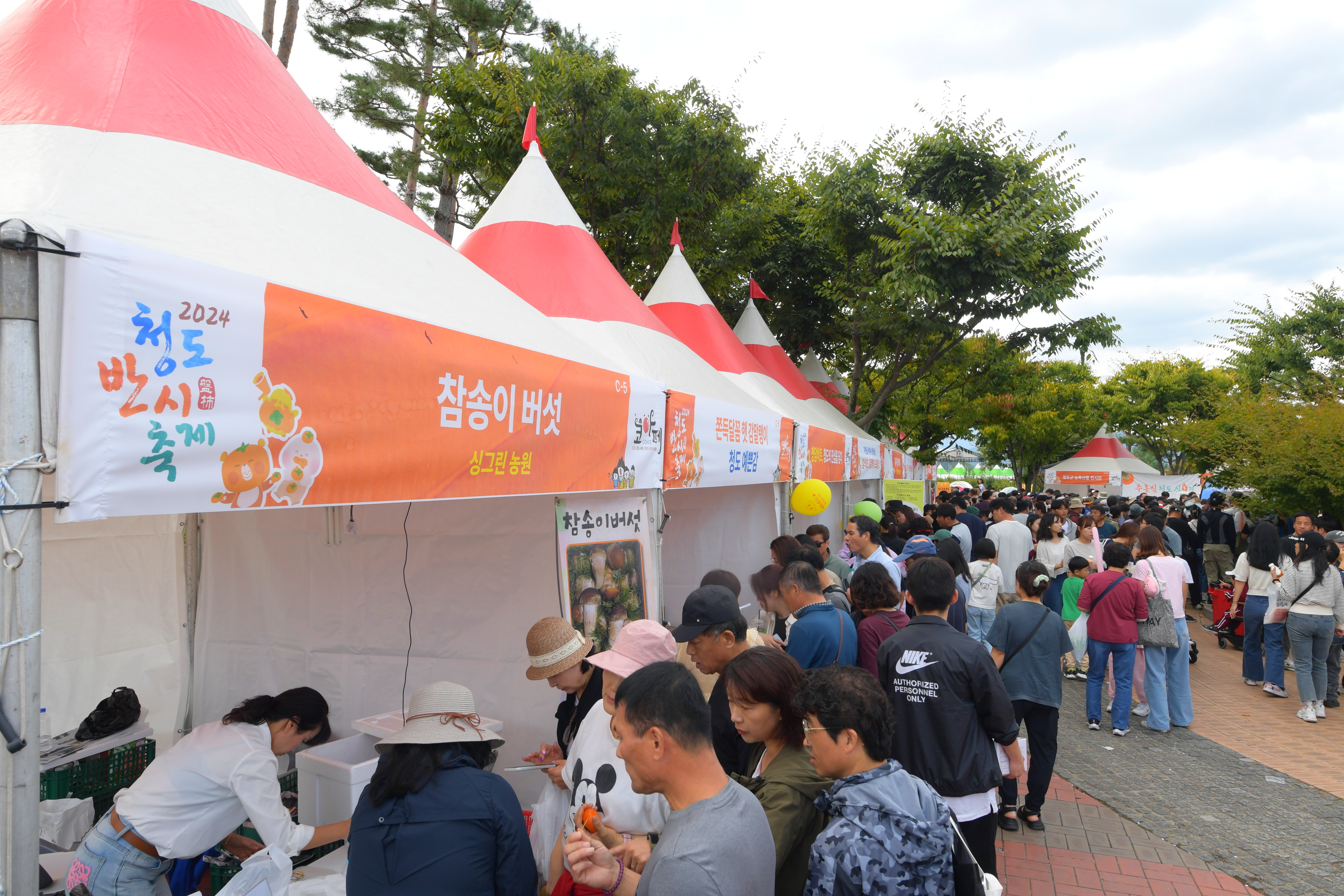 d14874df2811d910ec38c91d9f96d695_1771552