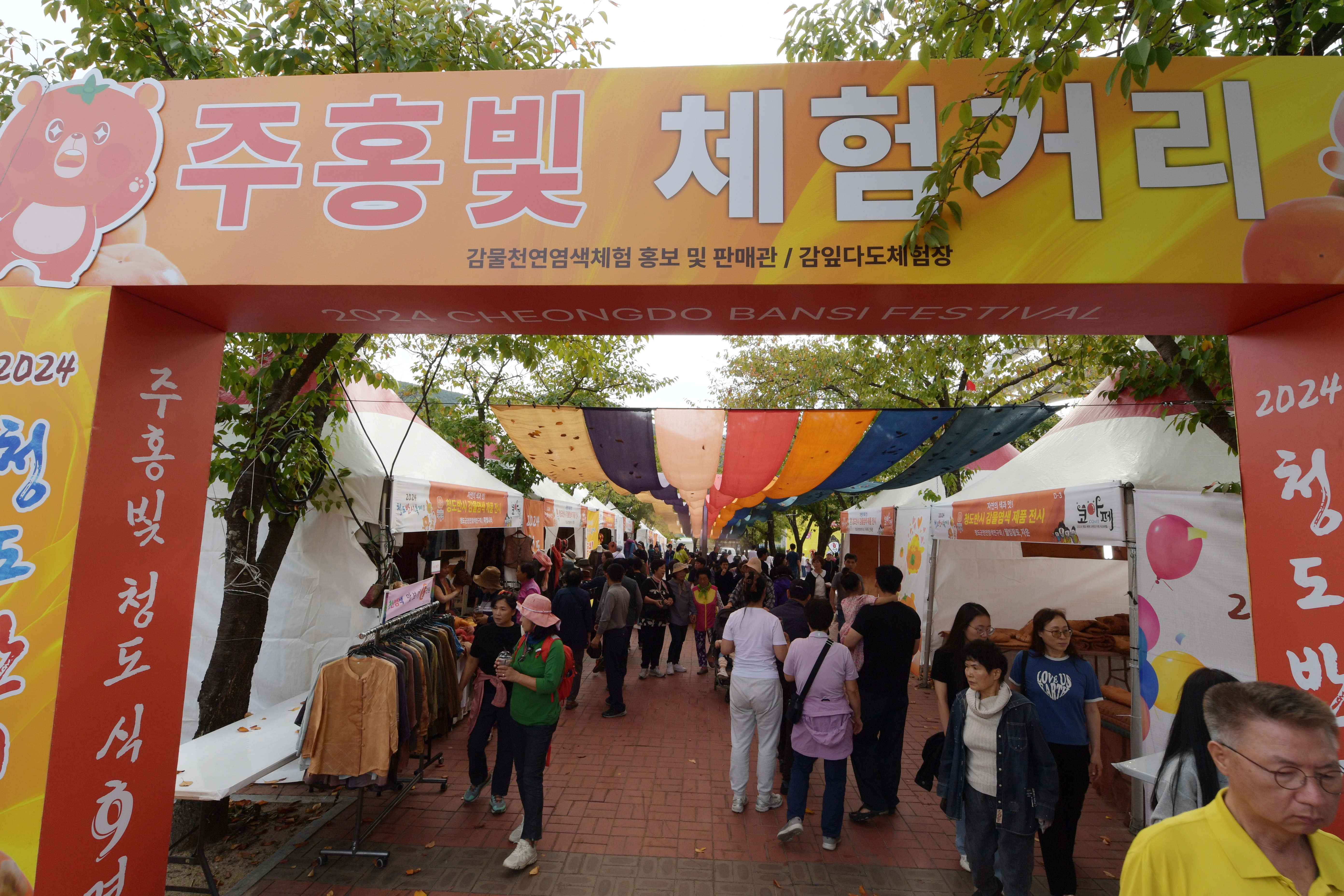 d14874df2811d910ec38c91d9f96d695_1771552