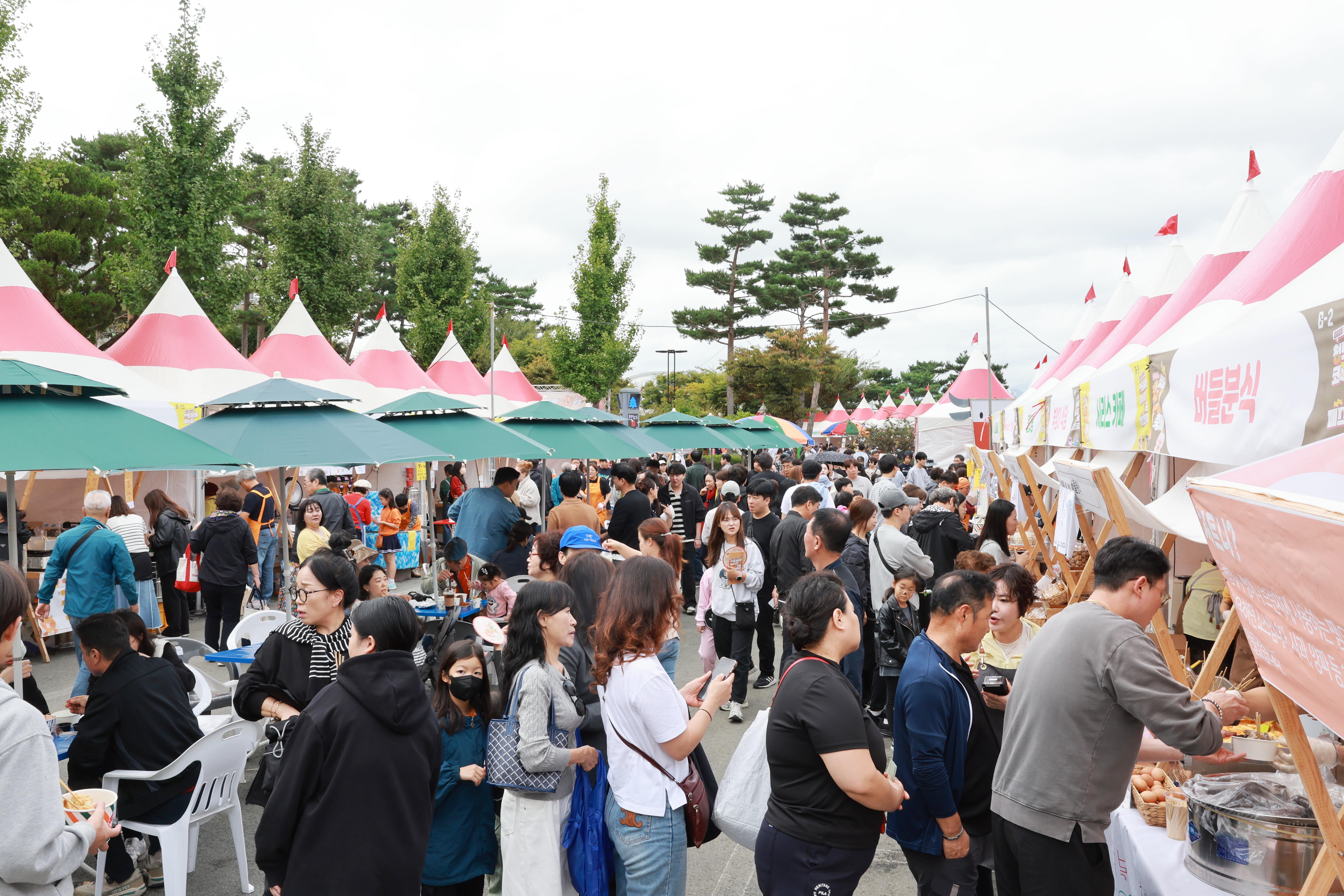 d14874df2811d910ec38c91d9f96d695_1771555