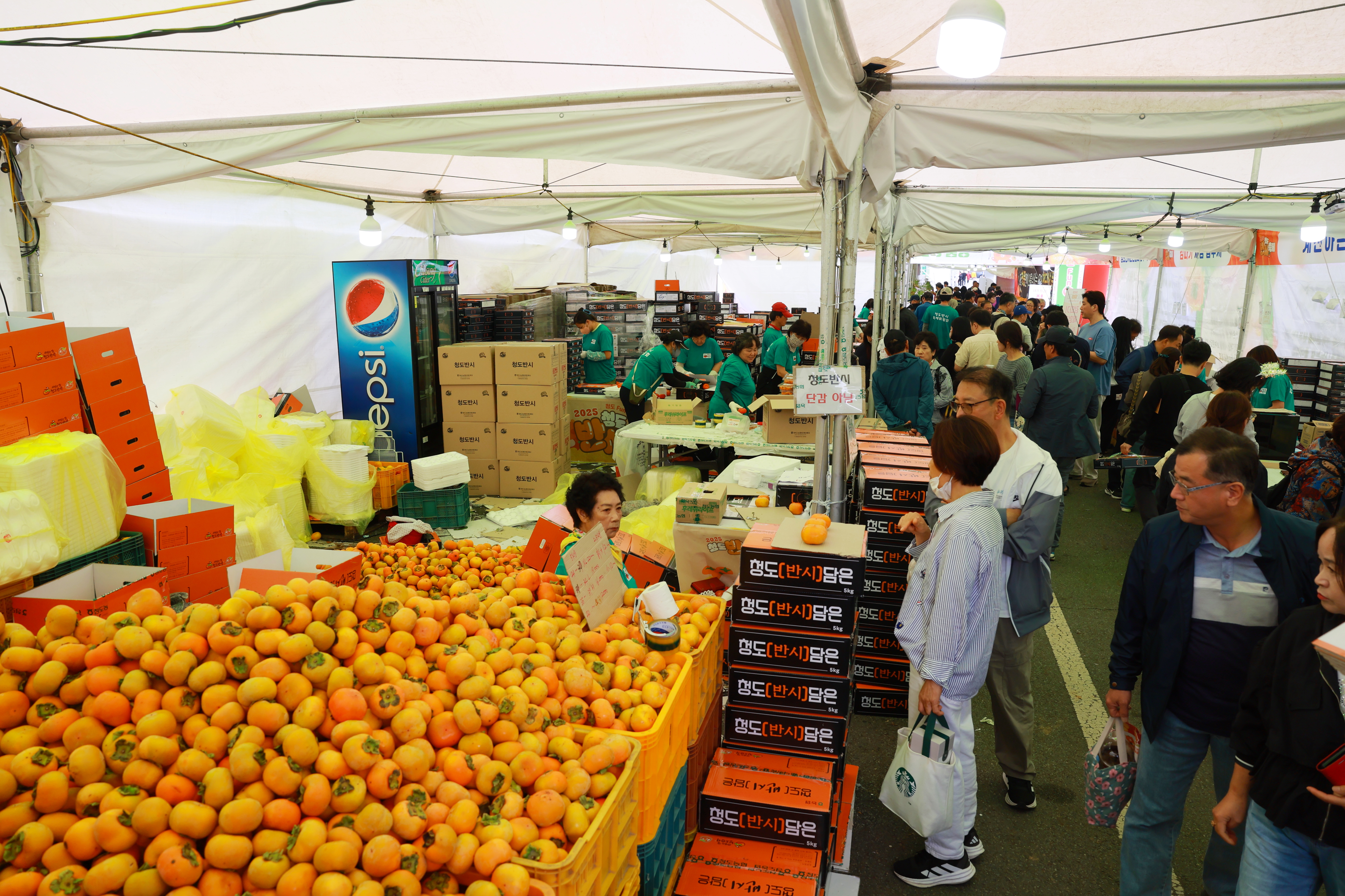 d14874df2811d910ec38c91d9f96d695_1771555