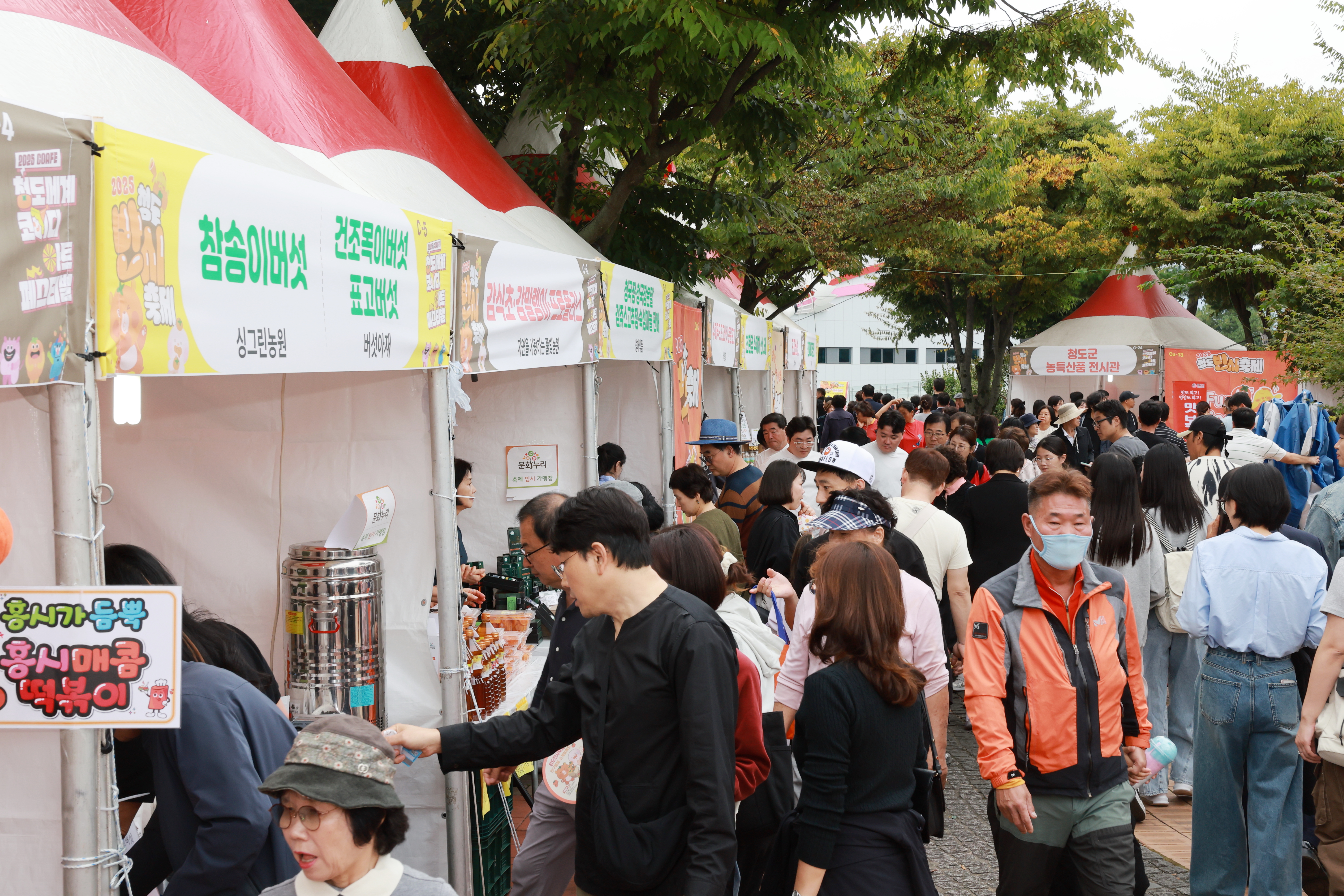 d14874df2811d910ec38c91d9f96d695_1771555