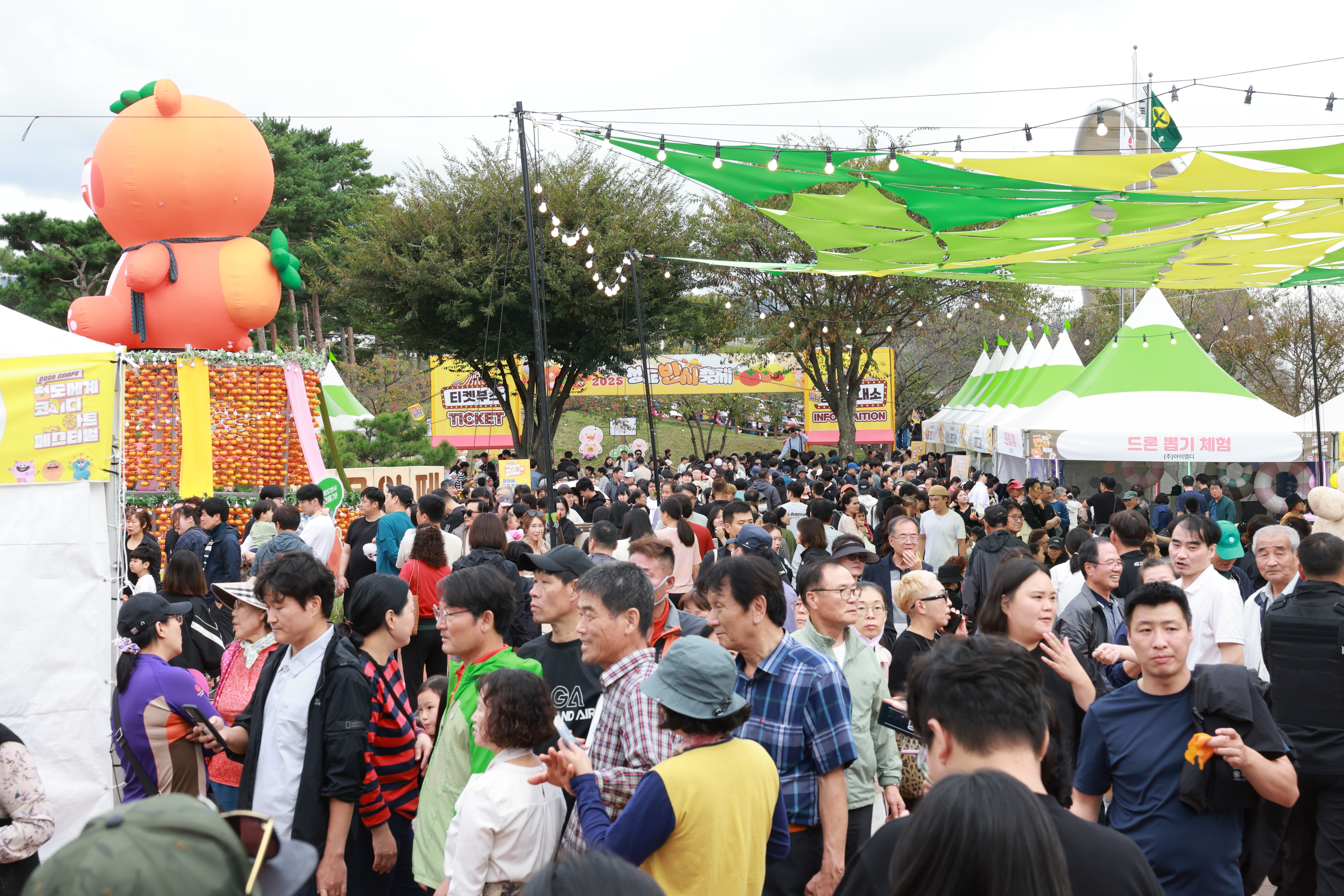 d14874df2811d910ec38c91d9f96d695_1771555